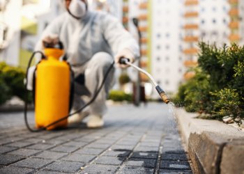 Bayrampaşa Böcek İlaçlama