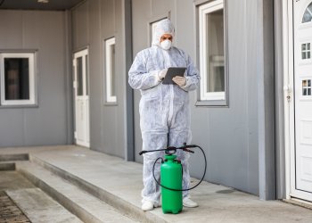 Ev İlaçlama: İstanbul’da Evlerde Haşere Problemlerine Karşı Kalıcı Çözümler