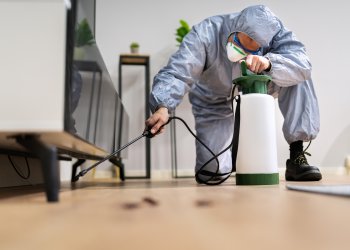 Haşere İlaçlaması ile Yaşam Alanlarınızı Koruyun