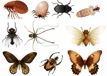 İstanbul İlaçlama Hizmeti – 2026 Güncel ve Kapsayıcı Rehber